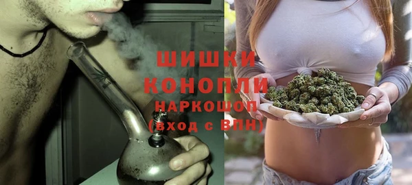 mdpv Бородино