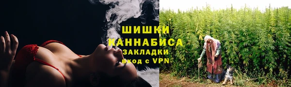 прущие грибы Бронницы