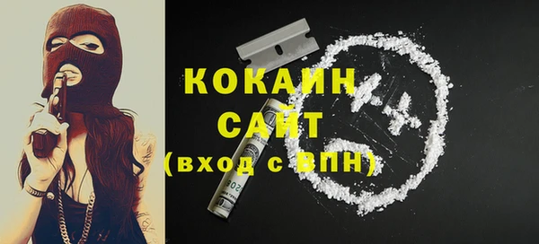прущие грибы Бронницы
