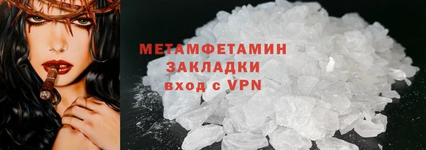 прущие грибы Бронницы