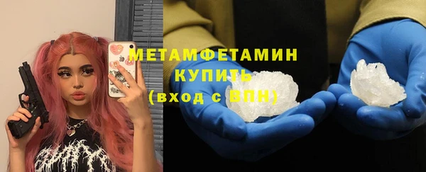 прущие грибы Бронницы