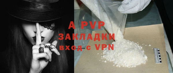 mdpv Бородино