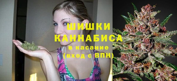 прущие грибы Бронницы