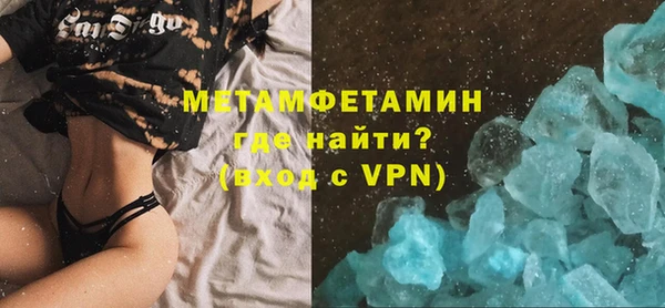 прущие грибы Бронницы