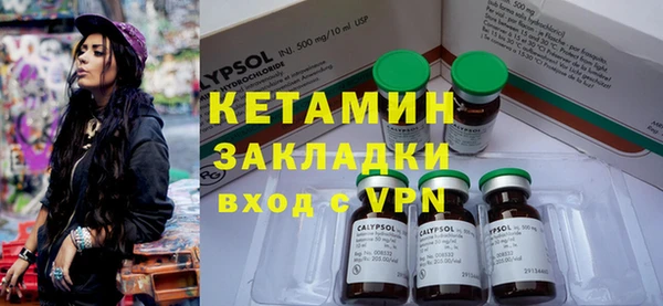 прущие грибы Бронницы
