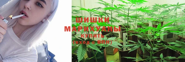 mdpv Бородино