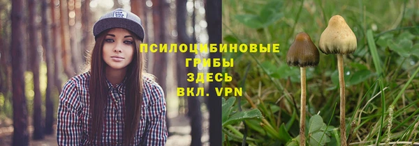 mdpv Бородино